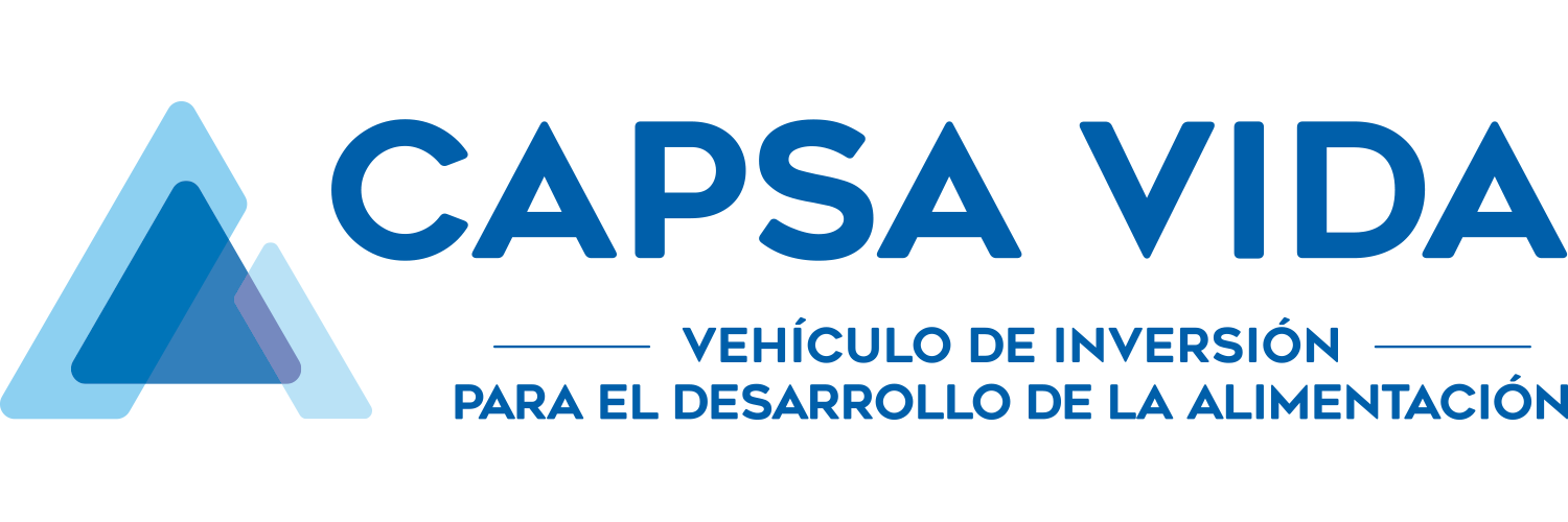 logo capsa vida 20